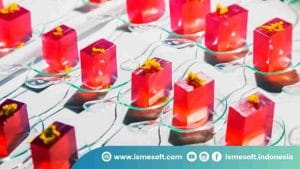 Transformasi Dapur Modern