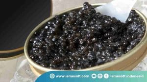 Pentingnya Caviar dalam Kuliner Dunia