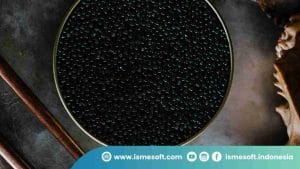 Caviar dari Ikan Apa?
