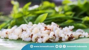 Telur Semut Rangrang