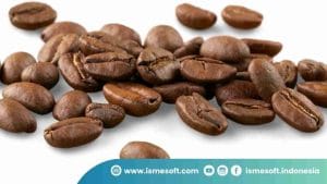 Jenis-jenis Kopi yang Wajib Dicoba