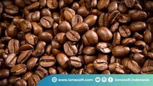 Fakta Menarik Seputar Kopi