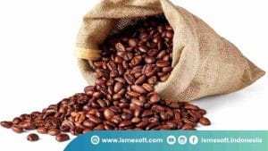 Menjelajahi Lebih Dalam