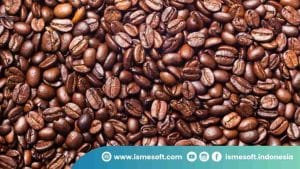 Perbedaan Robusta dan Arabika