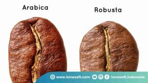 Informasi yang Jarang Dibahas