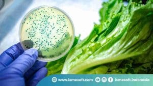 Apa Itu Cross Contamination?