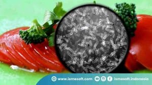 Bagaimana Cross Contamination Terjadi?