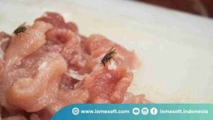 Bahaya Cross Contamination