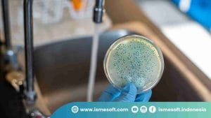 Cara Mencegah Cross Contamination