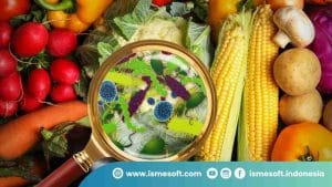 Apa Itu QC (Quality Control) dalam Kuliner?