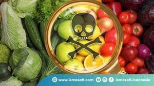 Fungsi dan Ruang Lingkup QC Makanan