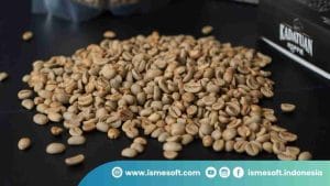Mengapa Roasting Kopi Sangat Penting?