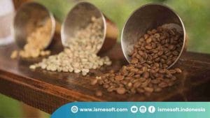 Tahapan Proses Roasting Kopi