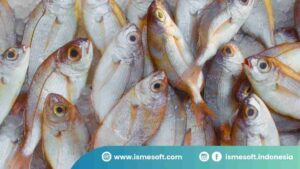 Sistem Manajemen Stok Restoran yang Efektif