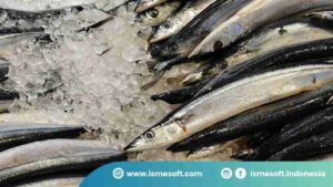 Kesalahan Umum dalam Manajemen Stok Restoran