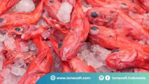 Tips Optimasi Manajemen Stok Restoran agar Lebih Efisien